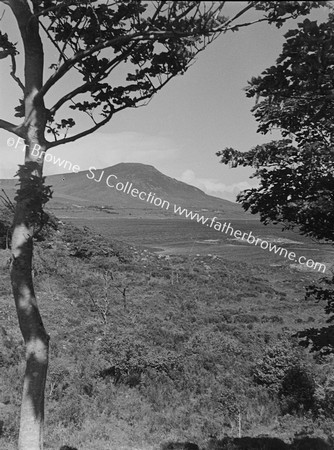 PANORAMA FROM BALLYCROY ROAD